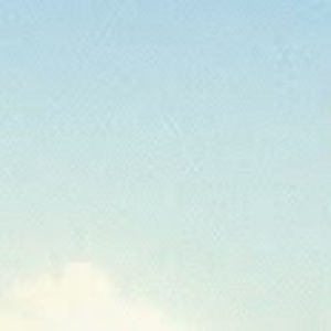 Meet your Posher, Ella